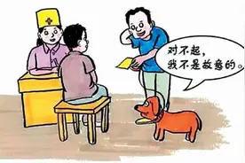 宠物伤人，谁来承担责任图片