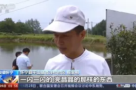 难得一见！安徽怀宁一池塘现大量桃花水母，88岁村民：从未见过图片