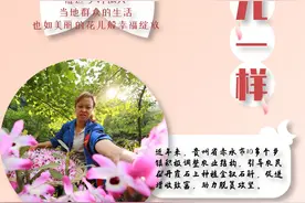 幸福像花儿一样图片