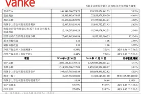 镁刻·半年报 | 万科多元化的归途与去路图片