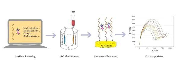 游离氨基酸监测传感器研发取得进展
