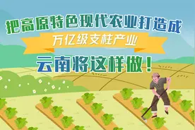 把高原特色现代农业打造成万亿级支柱产业 云南将这样做图片