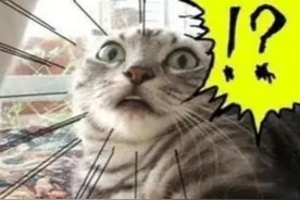 事发青岛！一3岁女童不慎摔倒，脸部栽入正在燃烧的烧烤炉……图片