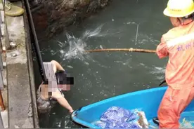 杭州一女子因这事内疚跳水轻生，警民同心接力救援图片