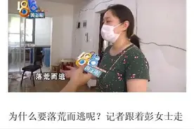 七夕当天落荒而逃！蟑螂“像下雨一样噼里啪啦往下掉！”图片