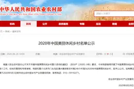 蓟州这个村在全国“美”出名！图片