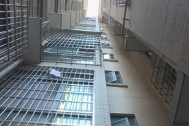 痛心！3岁女童独自进电梯，被发现时已坠楼身亡！监控拍下最后求助画面图片