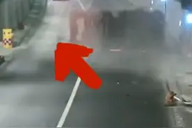 货车侧翻，交警在高速隧道抓了1小时兔子！网友：画面莫名有点萌图片