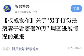 男子打伤猥亵妻子者赔偿20万？官方通报详情（附全文）图片