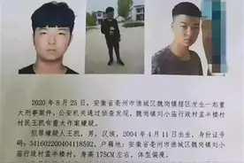 亳州16岁少年杀害婶婶潜逃，当地村民不敢下地干农活图片