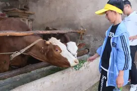 中国城市父母送孩子进村“吃苦”培养珍惜意识图片