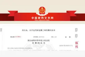 湖北一男子与女友吵架，将围观者打伤，获刑一年图片