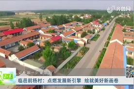 民宿、果园，落后村吃上“旅游饭”，临邑前杨村乡村振兴有妙招视频封面