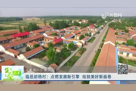 民宿、果园，落后村吃上“旅游饭”，临邑前杨村乡村振兴有妙招视频封面