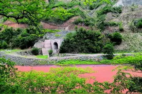 全国首例濒危野生动物保护预防性公益诉讼的背后图片