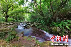 热辣辣的山、火辣辣的水……走，去湖南吃辣图片