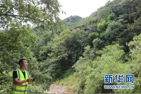 扫码入林、无人机巡山…… 渝北多措并举严防森林火灾图片