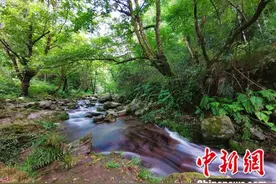 热辣辣的山、火辣辣的水……走，去湖南吃辣图片