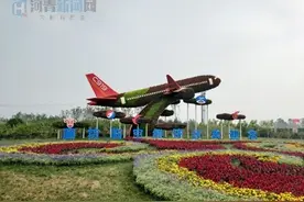 「行走自贸区」大兴片区（廊坊），一座“国际一流航空城”正在崛起图片