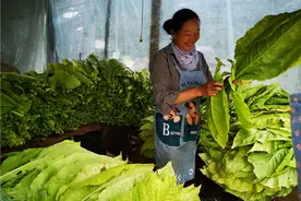 把人民利益摆在最高位置——决战脱贫的宁蒗印象图片