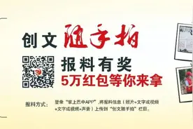 39名！巴中市市直机关公开遴选公务员图片