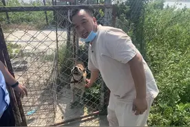 连续2年被盗 一只“广西土猎犬”将6名小偷送进看守所图片
