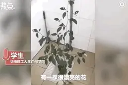 好久不见的宿舍，推开门后懵了：人生处处有惊喜，真没让大家失望图片