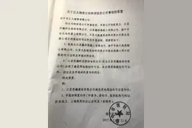 调查｜长江江滩旁“暗战风云”：混凝土搅拌站的“举报”江湖图片