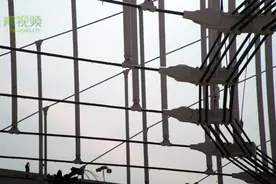 晓峰近距离 | 三亚国际体育产业园体育场项目索结构施工完成图片
