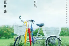 《漫长的告别》发布海报 治愈亲情观众感动落泪图片