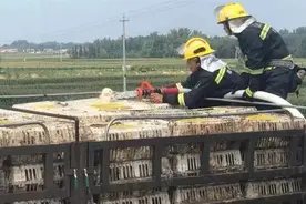 救命“鸭”！山东高速上一车鸭子差点变烤鸭，紧急时刻消防员来了…图片