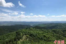 重塑河山 天然林保护工程为山西筑起生态屏障图片