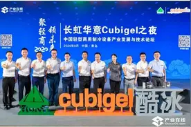 全球冰箱压缩机行业冠军 长虹华意做了什么？图片