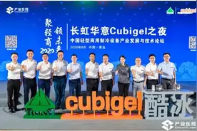 全球冰箱压缩机行业冠军 长虹华意做了什么？图片