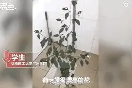 好久不见的宿舍，推开门后惊呆了……图片