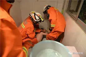 卫生间杀鱼，鱼掉厕所，他伸手去捞，拐喽，手都卡起哦图片