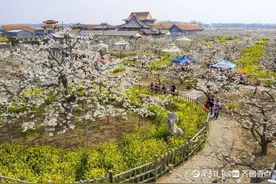 冠县，有什么好玩的？图片