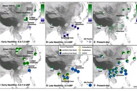 你的相貌平平无奇？可能是被地理环境限制了图片