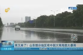 雨又来了！鲁中东部和半岛中到大雨，局部大暴雨，其他地区雷阵雨视频封面