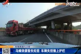杭瑞高速九江段：马蜂突袭暂失知觉 车辆失控撞上护栏视频封面