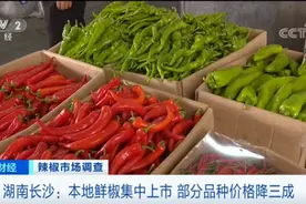 这种辣椒价格，最高飙至200元一斤了！为何“辣么”贵？图片