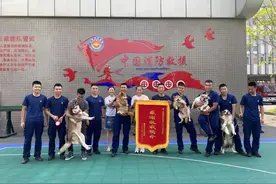 “谢谢救我狗命”洪水中被救下的狗狗代表组团去消防队看“救命恩人”图片