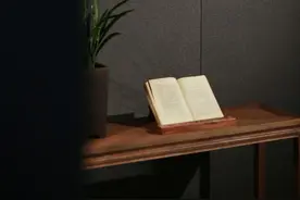 鲁迅说，出版只能由亚东图书馆图片