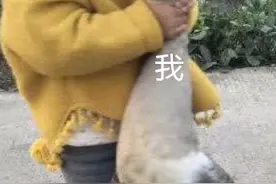 没吼没叫没感冒，声音咋老是哑的？华西专家说，因为你连说话的方式都错了！图片