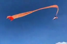 台湾3岁女童被风筝卷上半空 多亏他一跳抱下幸运脱险图片