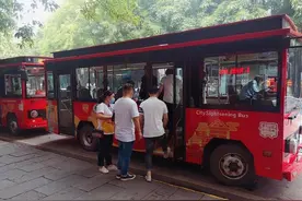 注意了！磁器口、洪崖洞线路恢复7条观光巴士图片