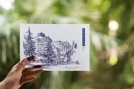 特别准！@SEUer，你“中招”了吗图片