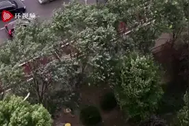 北京雷雨过后彩虹又挂天边图片