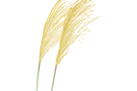 夜读，《愿风吹我到钦州》| 洞天福地三海岩图片