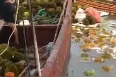 破案了！官方通报村民哄抢榴莲食物中毒：系感染副溶血性弧菌图片